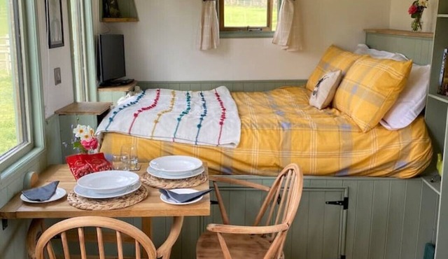 Forest & Farm - Luxury Shepherd’s Hut