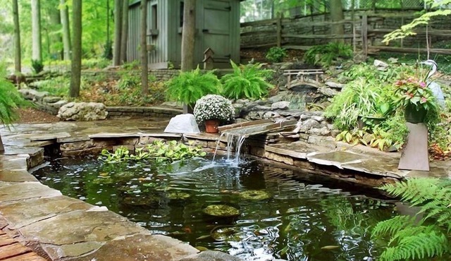 Forest Hill Bed & Breakfast