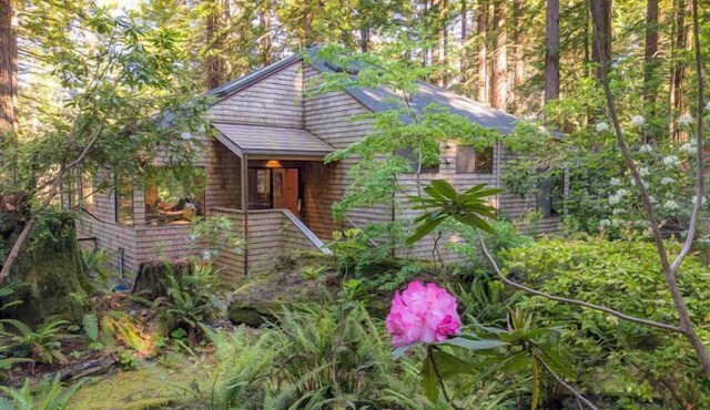 Forest House: 2 BR, 3 BA House in The Sea Ranch, Sleeps 4