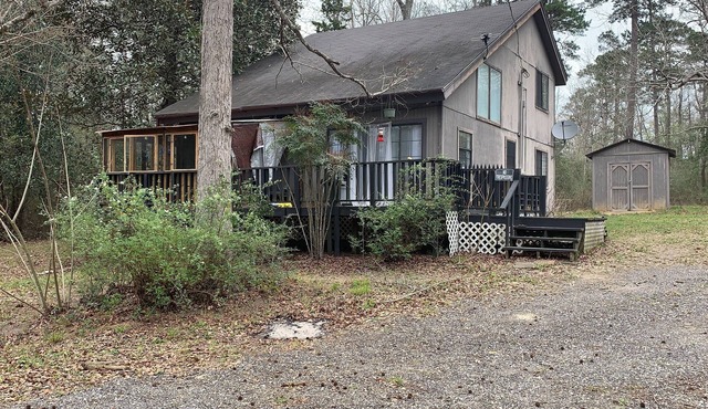 Forest House