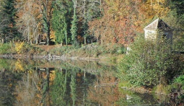 Forest ,Lake views and fishing