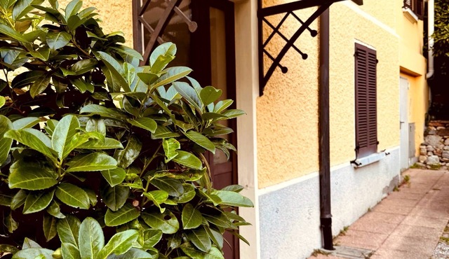 Forest Living, Cozy studio apartment located in Mendrisio.