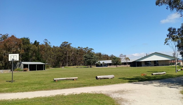 Forest Lodge Farm Family-friendly adventure farm retreat, Ideal for group events