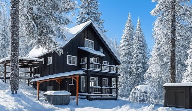 Forest+Mountain Views, Hot Tub, Sauna, EV Charger, Dogs OK, Near Lake Wenatchee