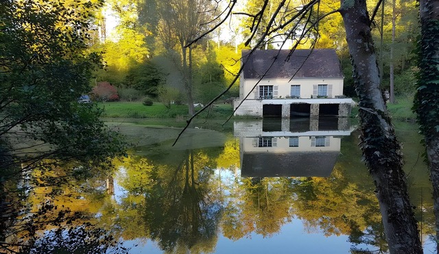 Forest Nest Cottage in the Heart of Compiègne, Sleeps 15