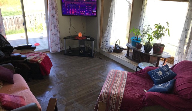 Forest Oasis welcomes you, take a break and rest with Mother Nature