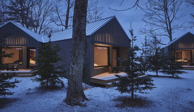 Forest Reset at Dimensions | Cabin Fourteen