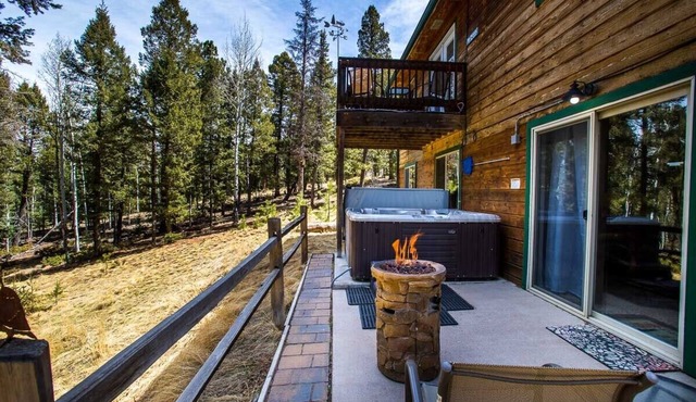 Forest Retreat over 1 acre, Hot Tub, Log Furniture, Wildlife!