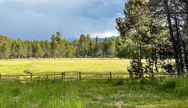 Forest retreat with meadow views, family warmth, starry nights and a hot tub
