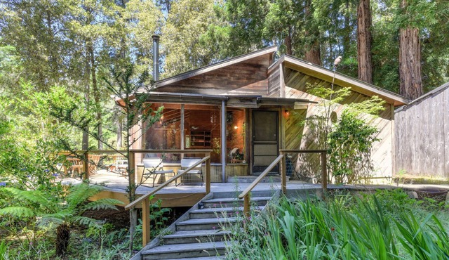 Forest Sea Cabin | Patio w/ Forest Views | Whale Watching