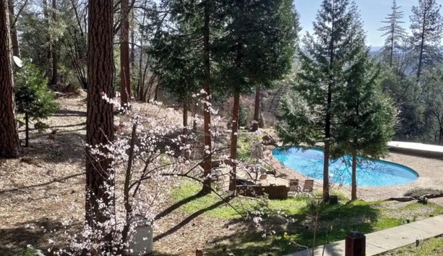 Forest Studio with Pool & Mountain View’s