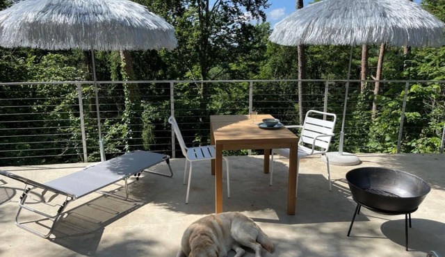 Forest vacation home with fireplace in an idyllic location on the edge of the forest below a wellness hotel in Langenburg