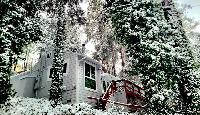 Forest-view cabin with deck, grill, wood stove, washer/dryer, & fast WiFi