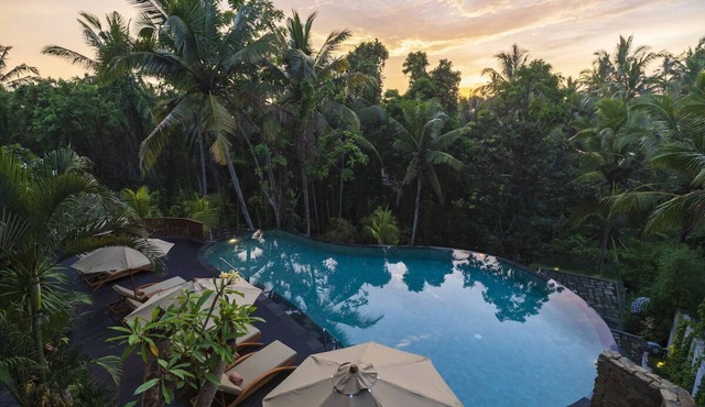 Forest View Retreat with Infinity Pool Near Monkey Forest & Free Breakfast