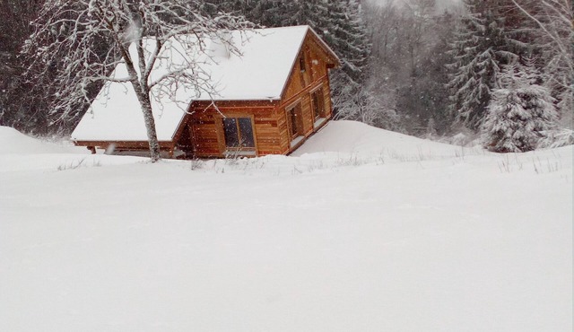 ForestLodge luxury chalet Gérardmer 8-10p (4 stars)