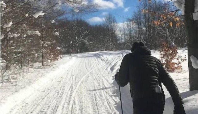 ForestRetreat Top1% in Ratings Close to Crystal Mtn Newly available Winter 2025!