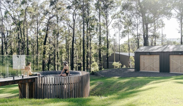 Forever Sunday in Little Forest