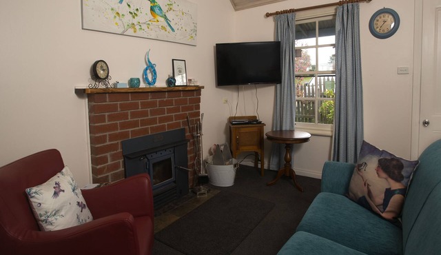 Forget Me Not Moonlight Blue Miners' Cottage Daylesford