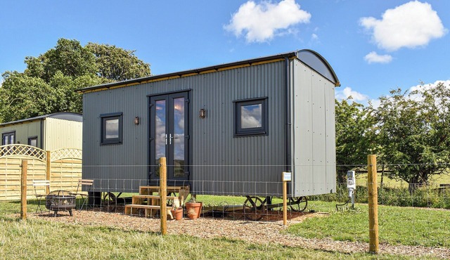 Forget-Me-Not - UK37646