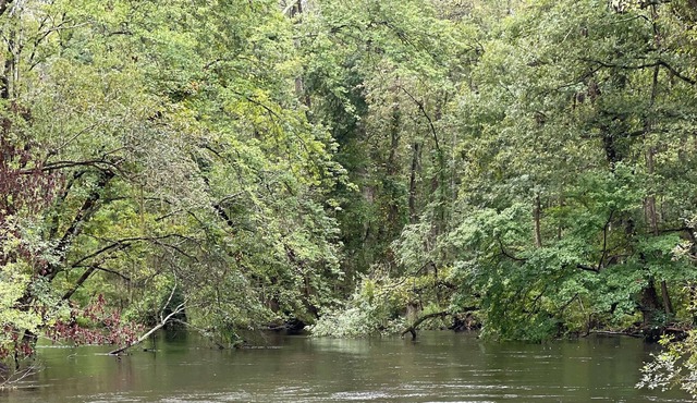 Forget your worries in our serene River front 5 bedroom house.