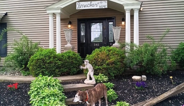 Forget your worries and enjoy some peace in the beautiful Lancaster Guest House.