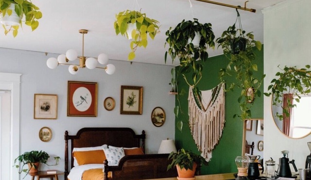 Former Coffee Shop turned Eclectic Studio Apartment