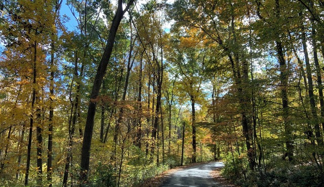 Former family residence on 5 acres