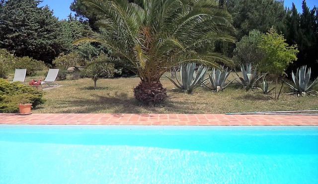 Former sheepfold with swimming pool, among the pines, near the sea.