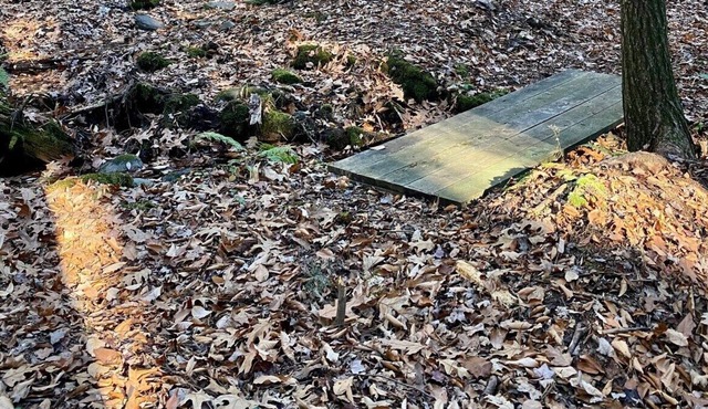 former summer camp/3 cabins/glamping tents/60acres