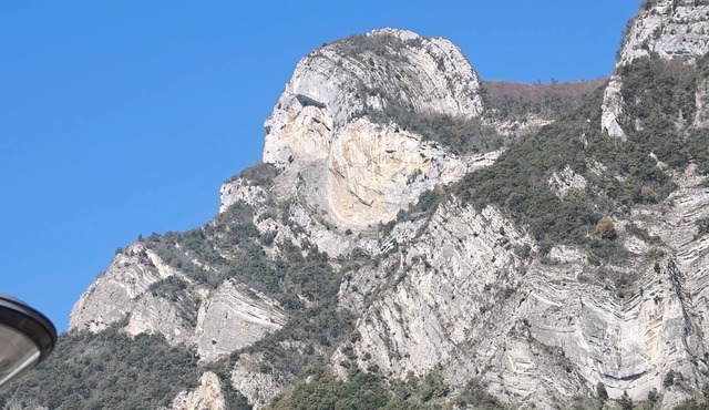 Former tobacco drying shed renovated as a family home in the countryside