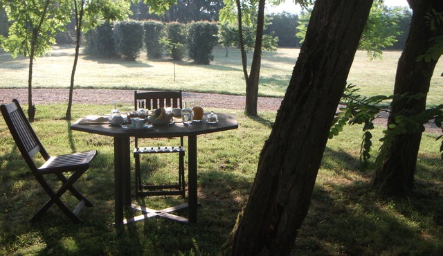 Former winegrower's farm with swimming pool and 6000 m2 of land.