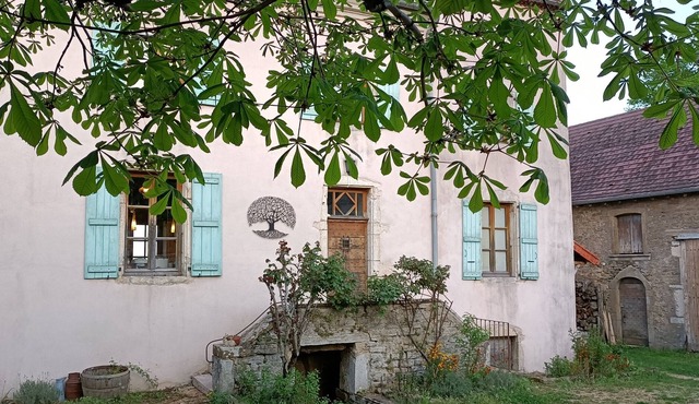 Former winegrower's house in lush greenery