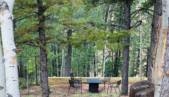 Forrest Home Cabin - Pikes Peak Region Convenience - Now on VRBO!