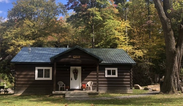 Fort Necessity, Laurel Highlands, Fallingwater, Ohiopyle
