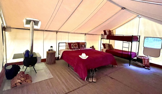Fortine Creek Camping