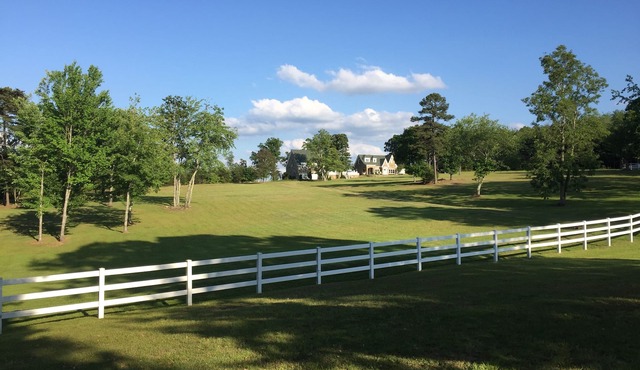 Forty Mile View Above the Clouds