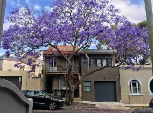 FOSS4A - A Private Garage Suite in Forest Lodge