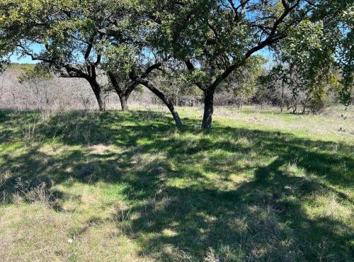 Fossil Trace Ranch