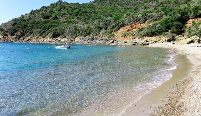 Fougère by Interhome