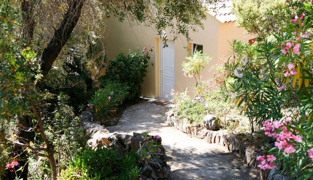 Fougère by Interhome