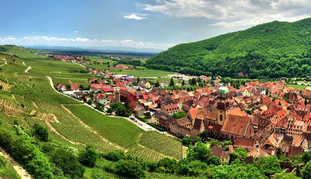 fougere avec jacuzzi le clos des vignes