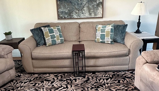 Fountain of the Sun 55+ - 2BR 2 BA updated condo-A Paradise in the Sun