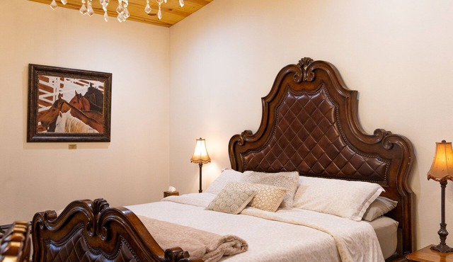 Four 6666 - Come experience a sleepover with our Giraffe, Puzzles and Jigsaw!