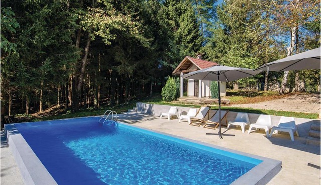 Four-Bedroom Holiday Home in Plaski