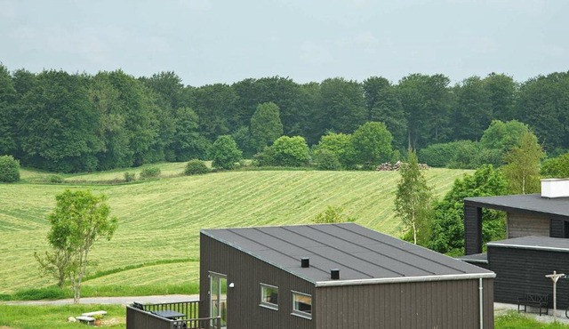 Four-Bedroom Holiday home in Aabenraa 4