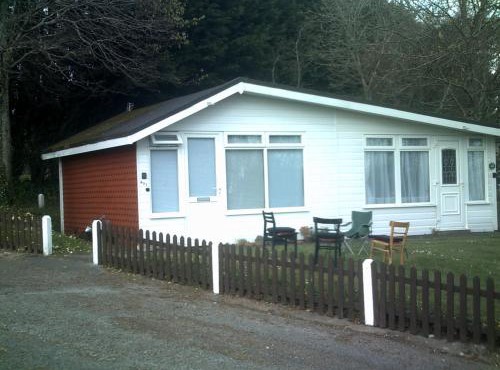 Four Legged Friends Warm and Cozy Cabin