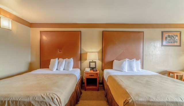 Four Practical Rooms w/Two Queen Beds For Value-Conscious Visitors