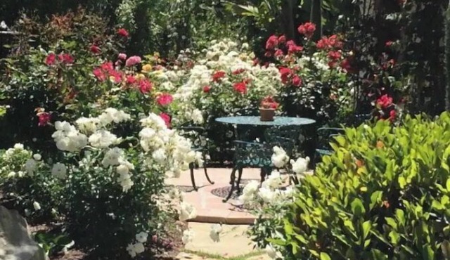 Four Seasons Biltmore Inspiration