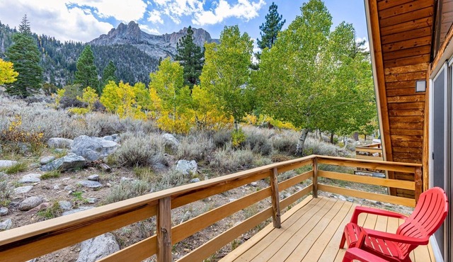 Four Seasons Cabin 1 with enchanting forest views