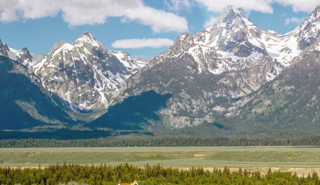 FOUR SEASONS Private Residence - Ultimate Luxury Experience